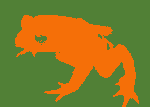 2-colour frog